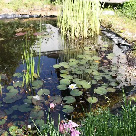 Gemuetliche Gaestezimmer In Einem Neu Sanierten Fachwerkhaus * Gundelbach